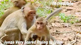 Baby Janna was Very Scared & Terrible But Janet's group Trying to