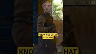 Know Not What It Means - The Witcher 3
