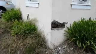 Dry Rot Repair Contractor  San Francisco Bay Area General Contractor Golden Gate Enterprises