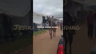 cute little girl riding mule very well #viralvideo #horsegirl #equestrianrider #womenempowerment