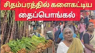 தமிழ்நாட்டில் களைகட்டியது பொங்கல்#tamil #jaffna #srilanka #festival #colombovicky 