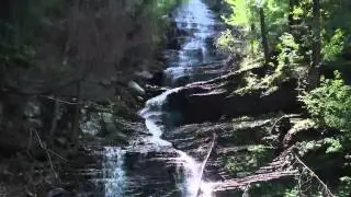 Lye Brook Wilderness