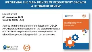 Productivity Drivers in OECD and APO Economies