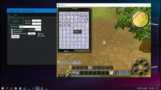 Insanity FlyFF Bot - Nov 12, 2021