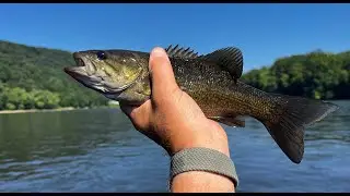 Allegheny River Fishing 4th of July 2025!