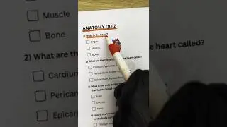 Anatomy Quiz