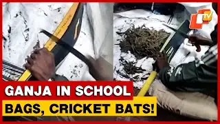 Ganja Smuggled In School Bags And Plastic Cricket Bats Busted In Berhampur | Odisha