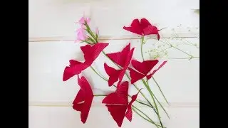 How To Make Red Butterfly Wing Paper Flower / Làm Cây Hoa Bướm Đêm Từ Giấy Nhún / Lana Paper Flowers