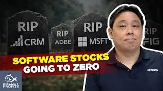 Software Stocks Going to Zero? by Adam Khoo