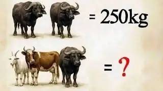 This Simple IQ Question Is Tricking Everyone 😮Live IQ Puzzle Challenge 🔥