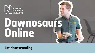 Dawnosaurs Online: Animals in Winter