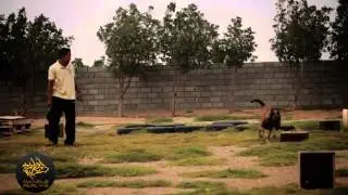 Awal K9 Explosives Detection Training