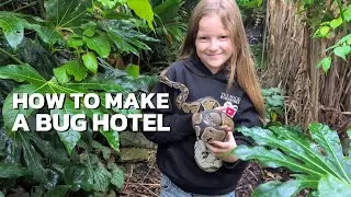 How To Make A BUG HOTEL
