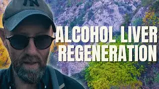 Is Liver Regeneration Likely After Stopping Drinking Alcohol?