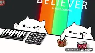 Котики поют BELIEVER