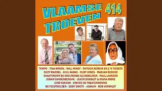 Naar de Kermis