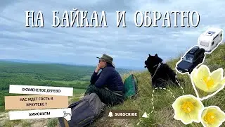 На Байкал и обратно | Часть 3: Окаменелое дерево, шихан Торатау и дорожные истории.