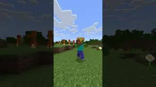 MInecraft time so fast #minecraftmemes