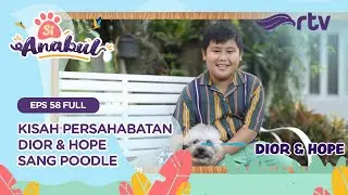 Si Anabul RTV - Kisah Persahabatan Dior dan Hope (Episode 58)