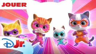 SuperChatons - Jouer : D'o&ugrave; vient Willa ?