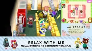 Animal Crossing: Happy Home Designer - Game Completion & City Tour | Relax with Me | No Commentary
