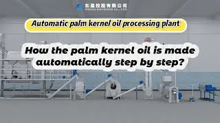 Palm Kernel Oil Extraction Plant: Fully Automatic Small-Scale Processing Line Step-by-Step #machine