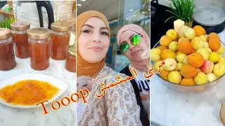 مربى المشمش🍑/توا نجم نقول للصيف مرحبااا🏖كل تأخيره فيها خيرة الحمد والشكر لله🤲