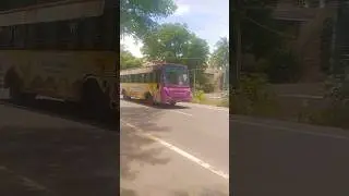 Pink colour Govt Bus mass Entry #tamil #love #song #spb