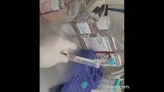 Isolation of human blood (PBMCs) by density gradient centrifugation (بالعربي) Part 2