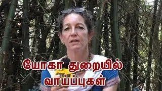 Increasing career opportunities in Yoga | The hidden opportunity in Yoga