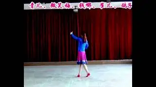 青儿老师《胡琴说》背面演示