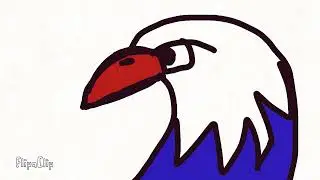 Opening Animation