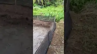 Fry Nursery Pond Preparation Tips
