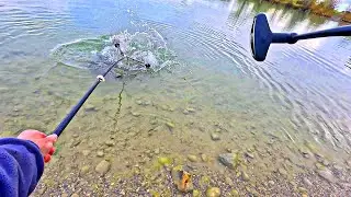 Kalter Herbsttag, heißer Drill – 13,7 kg Graskarpfen!