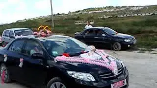 MOV00040