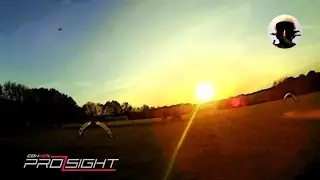 Fly until the sunset