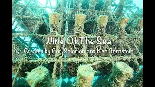 WINE OF THE SEA