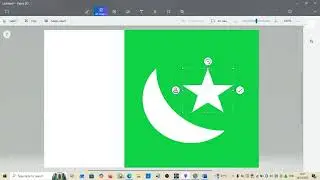 /Making Paskistani Flag In Paint 3D