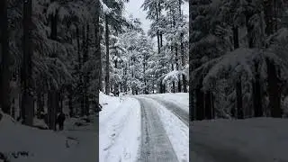 USHO FOREST KALAM SWAT #shortsfeed #snow #kalamsnowfall #short #viral