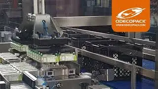 Empaque automático de Tetrabrik en canastilla