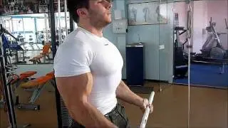 LorenzoB   Biceps&Triceps