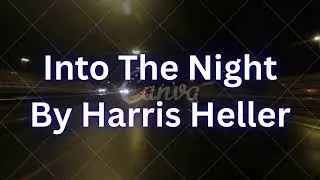 Into The Night By Harris Heller