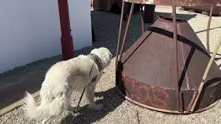 Chloride Arizona mining town with a long history and going to Vegas
