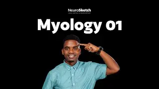 Myology part 1: Introduction to Myology, Muscle Types, Structure & Contraction Explained