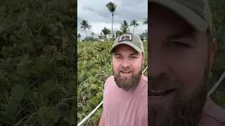 Using iNaturalist in Delray Beach to learn new species! #inaturalist #nativeplants #conservation