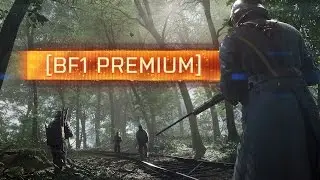 ► IS THE PREMIUM PASS GOOD OR BAD? - Battlefield 1 (Premium Pay Wall)