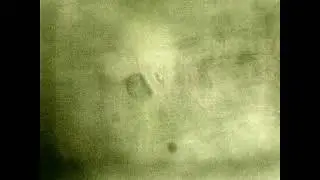 Stem With Disrupted Circulation