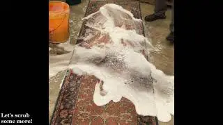 Cleaning a wool rug at Main Street Oriental Rugs