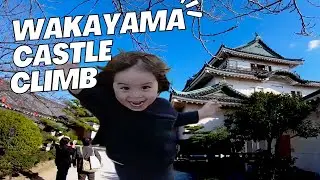 Wakayama Castle Tower Climb Panoramic View 4K Japan