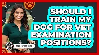 Should I Train My Dog For Vet Examination Positions?